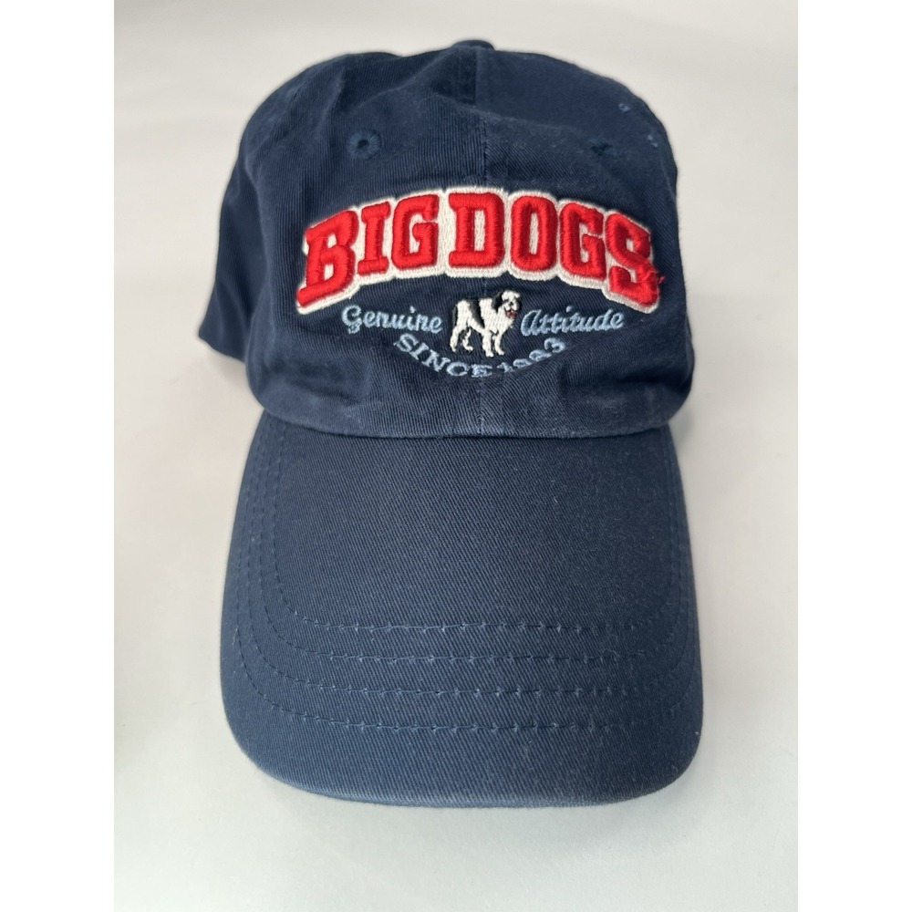 Vintage little Big Dogs baseball Cap Hat Y2K Kids Size